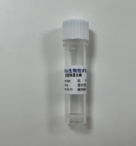 胰岛素生产用酶