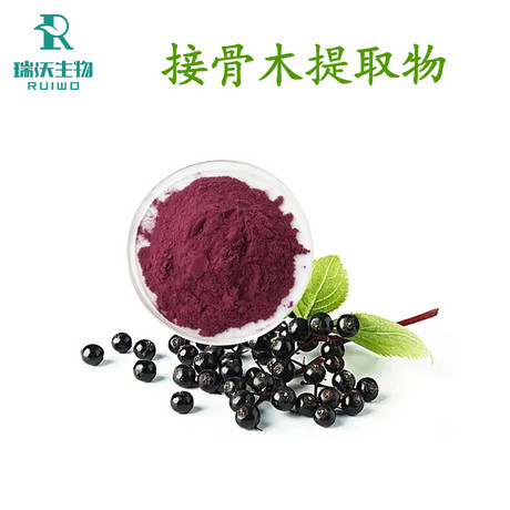 接骨木提取物