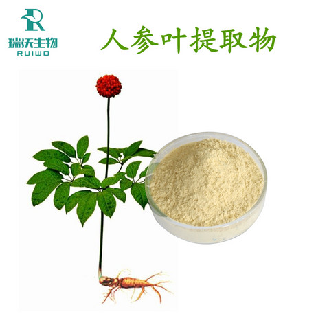 人参茎叶取物
