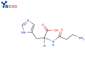 核糖核酸酶 9001-99-4