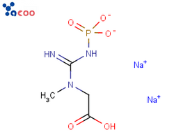 磷酸肌酸二钠盐 922-32-7
