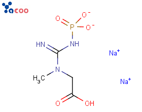 磷酸肌酸二钠盐 922-32-7