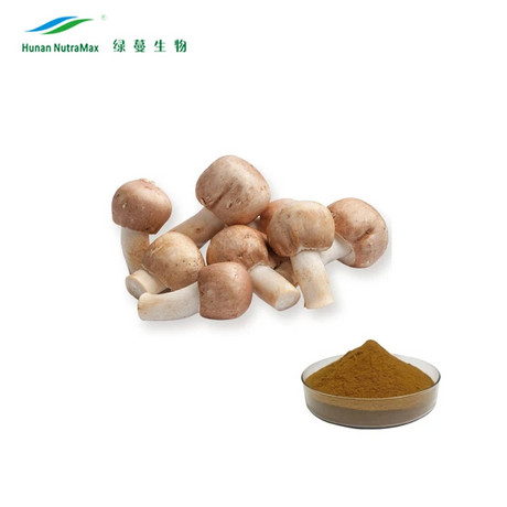 10%-50%多糖有机姬松茸提取物
