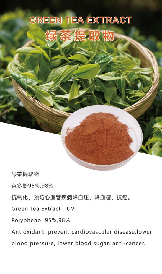 茶多酚98% 綠茶提取物