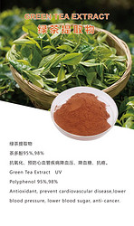 茶多酚98% 綠茶提取物