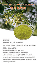 槐米提取物