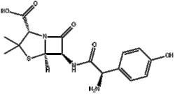 Amoxicillin