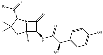 Amoxicillin