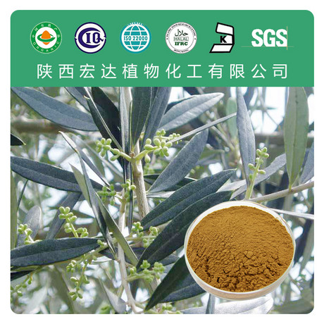 橄榄苦甙10%-70%