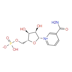  β-煙酰胺單核苷酸NMN/CAS:1094-61-7 