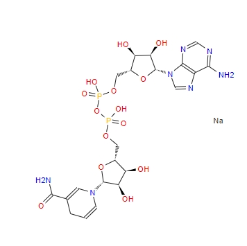 β-煙酰胺腺嘌呤二核苷酸二鈉/還原型輔酶I/NADH/CAS:606-68-8