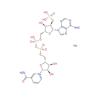 β-煙酰胺腺嘌呤二核苷酸磷酸/輔酶II/NADP/CAS:24292-60-2