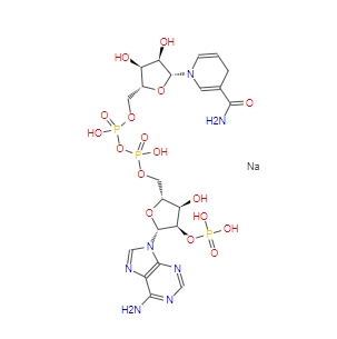 烟酰胺腺嘌呤二核苷酸磷酸（还原型）NADPH/CAS:2646-71-1