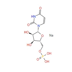 5′-尿苷酸二钠UMP CAS:3387-36-8