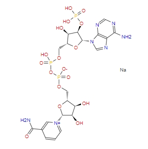 β-烟酰胺腺嘌呤二核苷酸磷酸一钠盐NADP