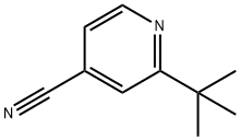 2-(tert-butyl)isonicotinonitrile
