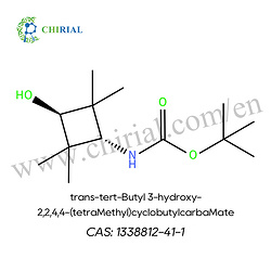 3-羟基-2,2,4,4-(四甲氧基)环丁基氨基甲酸叔丁脂