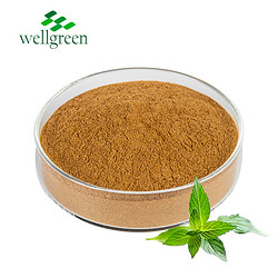 食品級茶多酚 98%綠茶提取物 茶單寧抗氧化劑 免費(fèi)寄樣 1KG起訂