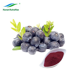 蓝莓果粉,蓝莓汁粉,蓝莓提取物25% 36% 花青素