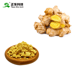 生姜提取物 姜辣素1%-20%