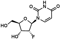 2'-脱氧-2'-氟尿苷