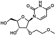 2'-O-(2-甲氧基乙基)尿苷
