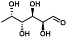 L-岩藻糖