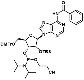 N-苯甲酰基-5’-O-(4,4-二甲氧基三苯甲基)-2’-O-[(叔丁基)二甲基硅基]腺苷-3’-(2-氰基乙基-N,N-二异丙基)亚磷酰胺