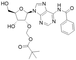 氮-苯甲酰基-2'-氧-特戊酸甲酯-腺苷