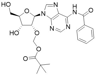 氮-苯甲酰基-2'-氧-特戊酸甲酯-腺苷