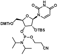 5'-O-(4,4-二甲氧基三苯甲基)-2'-O-[(叔丁基)二甲基硅基]尿苷-3'-(2-氰基乙基-N,N-二異丙基)亞磷酰胺