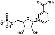 β-烟酰胺单核苷酸（NMN）
