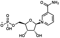 β-煙酰胺單核苷酸（NMN）