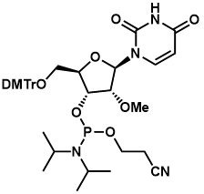 5'-O-双(对甲氧基苯基)苯基甲基-2'-O-甲基尿苷-3'-(2-氰基乙基-N,N-二异丙基亚膦酸酯)