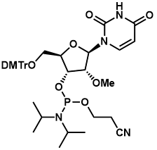 5'-O-双(对甲氧基苯基)苯基甲基-2'-O-甲基尿苷-3'-(2-氰基乙基-N,N-二异丙基亚膦酸酯)