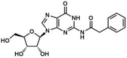 2-N-苯乙?；?9-(β-D-呋喃核糖基)-鳥嘌呤