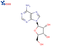 58-61-7 腺苷