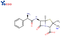 69-52-3  氨芐青霉素鈉