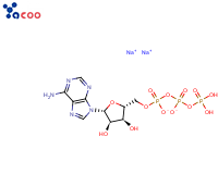 34369-07-8 腺苷-5'-三磷酸二鈉鹽