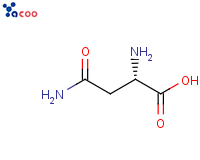70-47-3 L-天冬酰胺无水