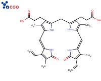 635-65-4 膽紅素