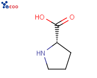147-85-3 L-脯氨酸