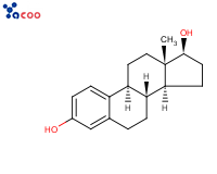 50-28-2 雌二醇E2