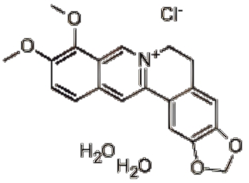 鹽酸小檗堿