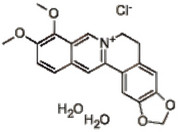盐酸小檗碱