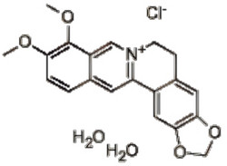 盐酸小檗碱