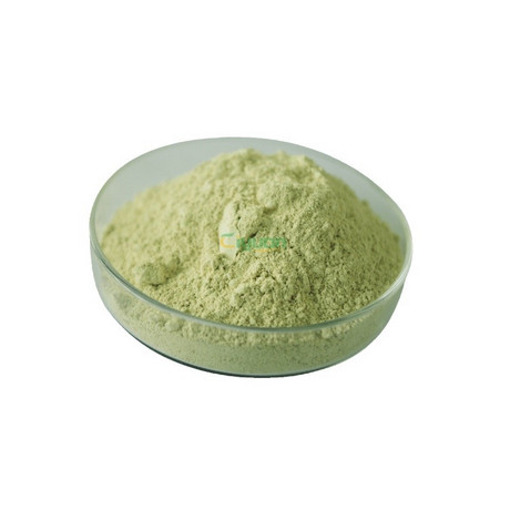 柑橘膳食纤维