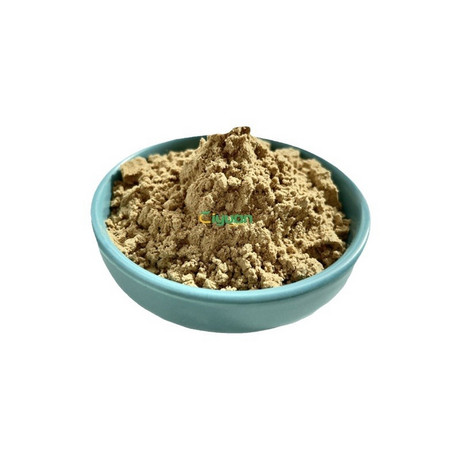 白芷提取物