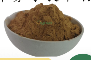牛蒡子提取物