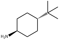 4-TERT-BUTYLCYCLOHEXANAMINE